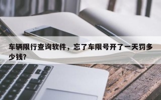 车辆限行查询软件，忘了车限号开了一天罚多少钱？