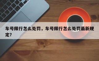 车号限行怎么处罚，车号限行怎么处罚最新规定？