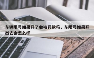 车辆限号如果开了会被罚款吗，车限号如果开出去会怎么样