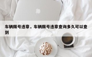 车辆限号违章，车辆限号违章查询多久可以查到