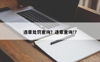 违章处罚查询？违章查询!？