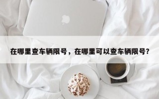 在哪里查车辆限号，在哪里可以查车辆限号？