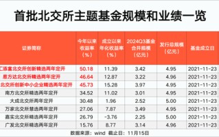 北交所主题基金 比较高
大赚50%！