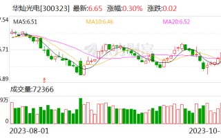 华灿光电广东新设子公司 含集成电路芯片业务