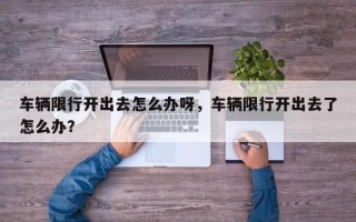 车辆限行开出去怎么办呀，车辆限行开出去了怎么办？