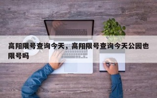 高阳限号查询今天，高阳限号查询今天公园也限号吗