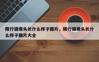 限行摄像头长什么样子图片，限行摄像头长什么样子图片大全