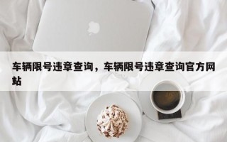 车辆限号违章查询，车辆限号违章查询官方网站
！