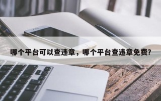 哪个平台可以查违章，哪个平台查违章免费？