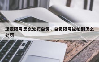 违章限号怎么处罚自贡，自贡限号被拍到怎么处罚