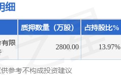 中恒电气（002364）股东杭州中恒科技投资有限公司质押2800万股，占总股本4.97%