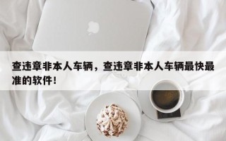 查违章非本人车辆，查违章非本人车辆最快最准的软件！