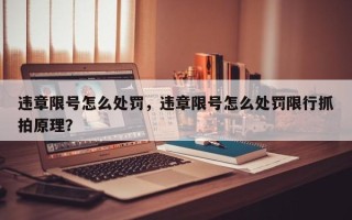 违章限号怎么处罚，违章限号怎么处罚限行抓拍原理？