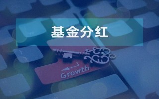 红利再投如何为复利增长提供“燃料”？