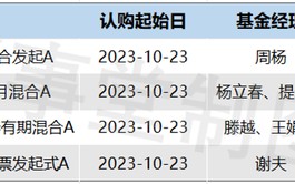 新基金发行再组“CP”，机构为何大打组合牌？