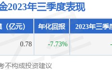 甘传琦2023年三季度表现，国联创业板两年定开混合基金季度跌幅13.27%