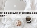 限行摄像头长什么样子啊？限行摄像头是概率抓拍吗？