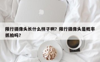 限行摄像头长什么样子啊？限行摄像头是概率抓拍吗？