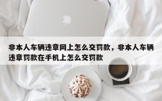 非本人车辆违章网上怎么交罚款，非本人车辆违章罚款在手机上怎么交罚款