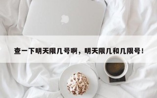 查一下明天限几号啊，明天限几和几限号！