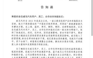 曾被认为是最具潜力的新能源车企，威马为何走向终局？