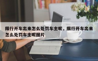 限行开车出来怎么处罚车主呢，限行开车出来怎么处罚车主呢图片