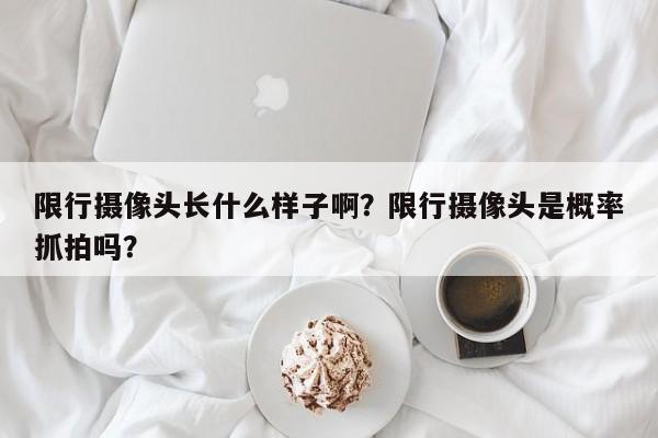 限行摄像头长什么样子啊？限行摄像头是概率抓拍吗？-第1张图片-末央生活网