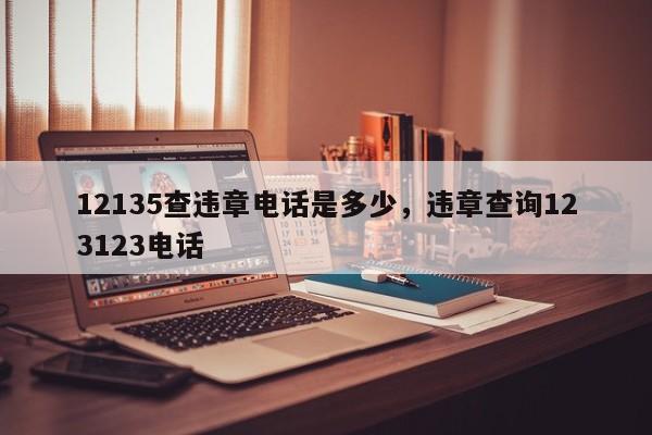 12135查违章电话是多少，违章查询123123电话-第1张图片-末央生活网