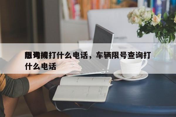 想询问
限号拨打什么电话，车辆限号查询打什么电话-第1张图片-末央生活网