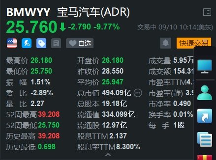 宝马汽车大跌近10% 下调2024年利润率-第1张图片-末央生活网