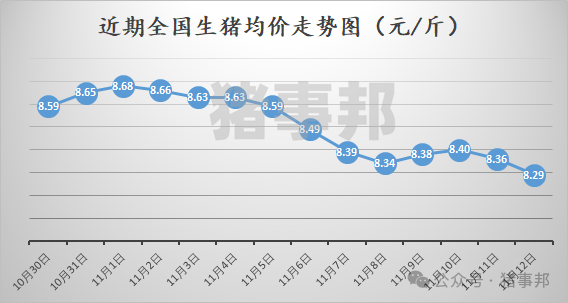 11月12日猪价汇总（均价再度刷新近5个月新低！）-第3张图片-末央生活网