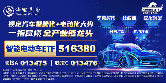 大盘震荡回调，医疗逆市冲高，医疗ETF（512170）收涨1.36%！泛科技局部走强，智能电动车ETF跑赢沪指！-第9张图片-末央生活网