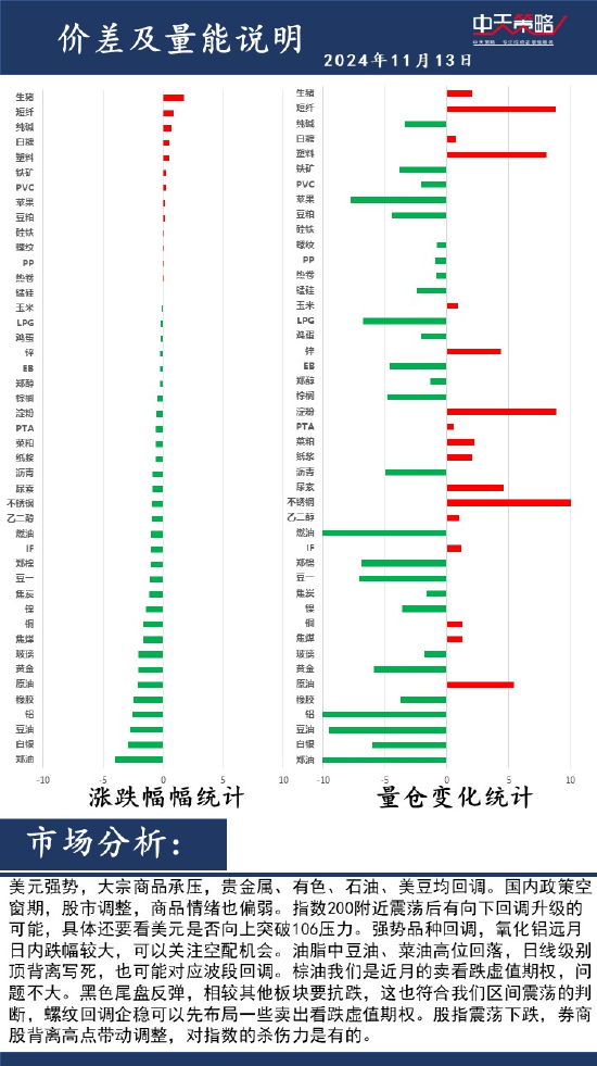 中天策略:11月13日市场分析-第2张图片-末央生活网