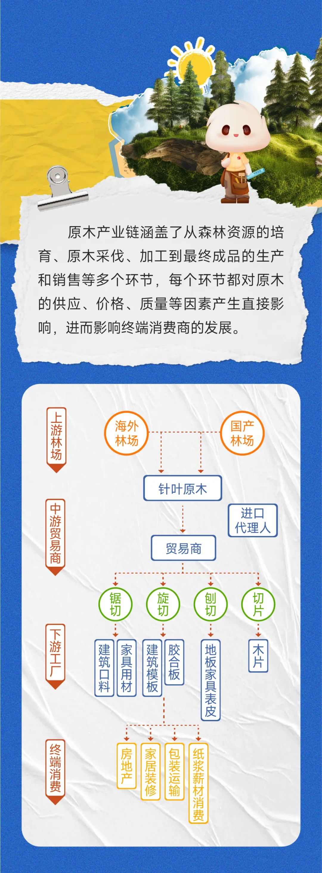 一图读懂原木期货-第10张图片-末央生活网