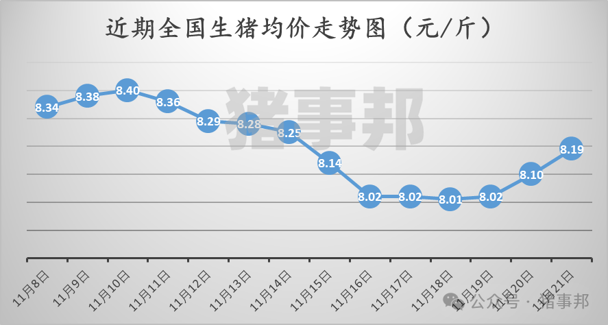 11月21日猪价汇总（继续普涨，但情绪分化！）-第3张图片-末央生活网