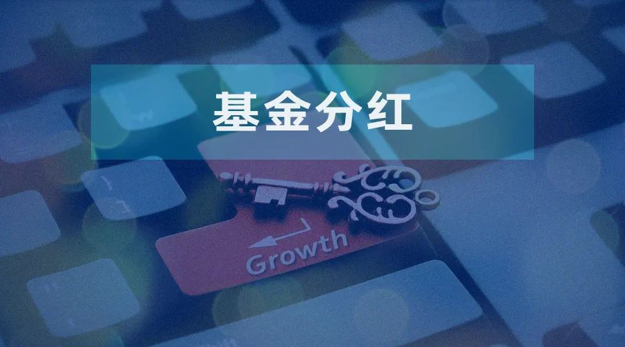 红利再投如何为复利增长提供“燃料”？-第1张图片-末央生活网